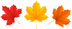 Set Fall Leaves PNG Clip Art Image | Gallery Yopriceville ...