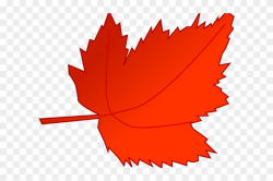 Fall Leaves Cartoon - Red Autumn Leaves Clipart, HD Png ...