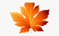 Autumn Leaves Clipart Dead Leaf - Transparent Fall Leaf ...