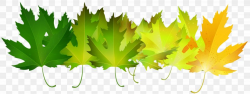Autumn Leaf Color Green Clip Art, PNG, 8000x3031px, Leaf ...