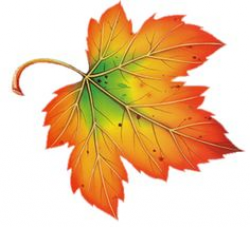 Leaf november leaves clipart clipartix - Clipartix