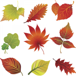 November leaves clipart jpg - ClipartPost
