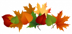 October clipart autumn leaf, October autumn leaf Transparent ...