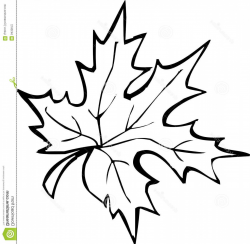 Free Fall Leaves Clipart | Free download best Free Fall ...