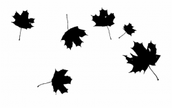 Picture Transparent Stock Autumn Png Transparent Maple ...