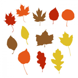 12 Fall Leaf Silhouettes Clipart, Autumn Leaves Clip Art, Leaf SVG Cut  File, PNG