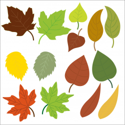Leaves Clipart simple 21 - 1917 X 1920 Free Clip Art stock ...
