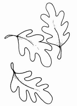 Leaves Drawing - ClipArt Best | Leaf drawing, Oak tree ...