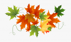 Autumn Leaves Clipart Transparent Background , Transparent ...