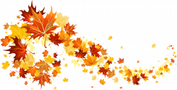 Autumn leaf color Clip art - Fall Leaves Transparent Picture ...
