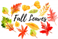 Watercolor Fall leaves clipart ~ Illustrations ~ Creative Market