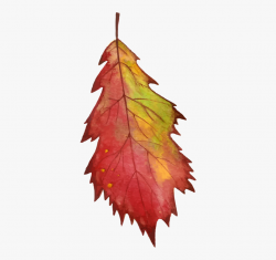 Watercolor Fall Leaves Vector , Transparent Cartoon, Free ...