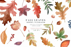 Fall Leaves Watercolor Leaf Clipart ~ Illustrations ...