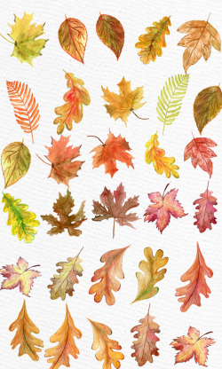 Watercolor Leaves Clipart: \