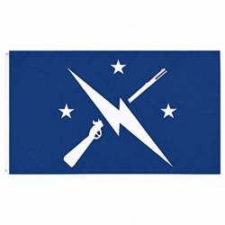 Fallout Flag, Commonwealth Minutemen Flag, Exclusive Fallout Merchandise  for Indoor/ Outdoor Use, 100% Polyester, 3 x 5 Ft