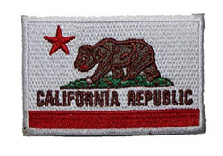 Amazon.com: California Republic Fallout New Vegas Mini NCR ...
