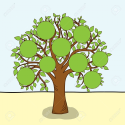 Family tree clipart clipart cliparts for you 2 - Clipartix