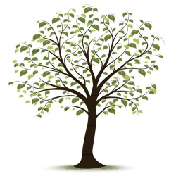 Clip art family tree … | Family History Event Ideas | Family tree ...