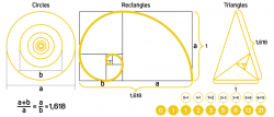 Golden Ratio in Logo Design – Clever Mark Store