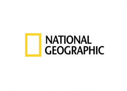 Top 20 Famous Logos Designed in Yellow