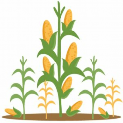 Collection of free Coroun clipart corn farmer. Download on UI Ex