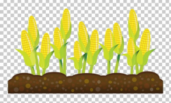 Intensive Crop Farming Agriculture Intensive Crop Farming PNG ...