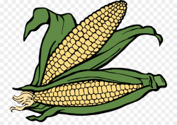 Crop Maize png download - 800*625 - Free Transparent Crop png Download.
