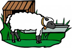 Image Of Sheep - Clip Art Library