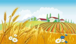 Wheat farm clipart 1 » Clipart Portal