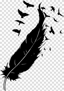Download for free 10 PNG Feather clipart bird Images With ...