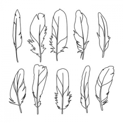 Feather Clipart, Boho Feather Clipart, Tribal Clipart, Bird Feather Drawings