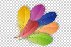 The Floating Feather Color, Colored feathers PNG clipart ...