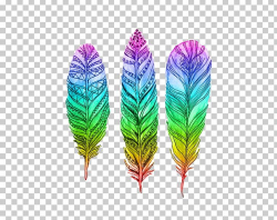 Bird Pin Feather Drawing PNG, Clipart, Animals, Bird, Color ...