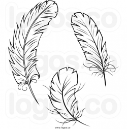 Feathers Clipart | Feather clip art, Feather drawing ...