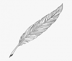 Pen Clipart Fether - Feather Quill Pen Drawing , Transparent ...