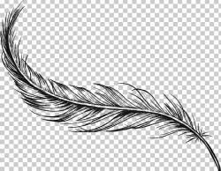 Feather Drawing Art Charcoal PNG, Clipart, Animals, Art ...