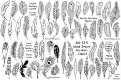 Big Set of Hand Drawn Feathers Clipart, Digital Feathers ...