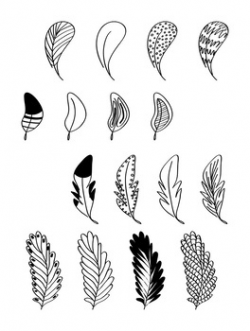 16 Doodle Feathers Hand Drawn Clipart | Tribal, Indian, Nature | PNG +  Vector