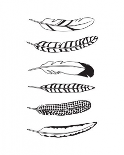 Hand drawn feather Clipart Image | +1566198 clip arts
