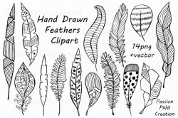 Big Set of Hand Drawn Feathers Clipart, Digital Feathers ...