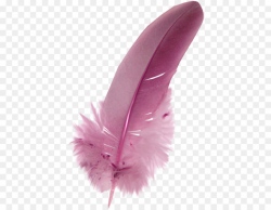 Pink Background clipart - Feather, Pink, Wing, transparent ...