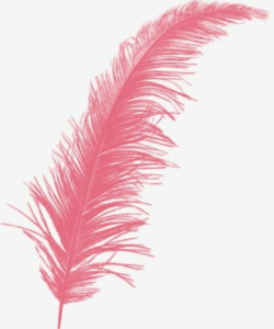 Creative Feather Wings PNG, Clipart, Close, Close Up, Color ...