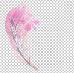 Feather Pink Illustration PNG, Clipart, Animals, Beautiful ...