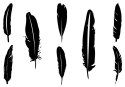 Feather Silhouette Vector | Feather clip art, Silhouette ...