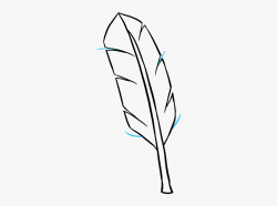 Download for free 10 PNG Feather clipart simple top images ...