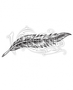 Simple Detailed Feather ClipArt