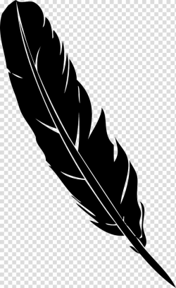 Black and gray feather illustration, Feather Pen Quill ...
