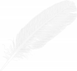 Large White Transparent Feather PNG Clipart | Gallery ...