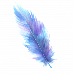 Feather Digital art Watercolor painting - feather png ...