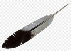 Free Png Download Feather Png Images Background Png ...